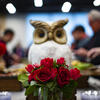 Owl on a table with roses in front of it.