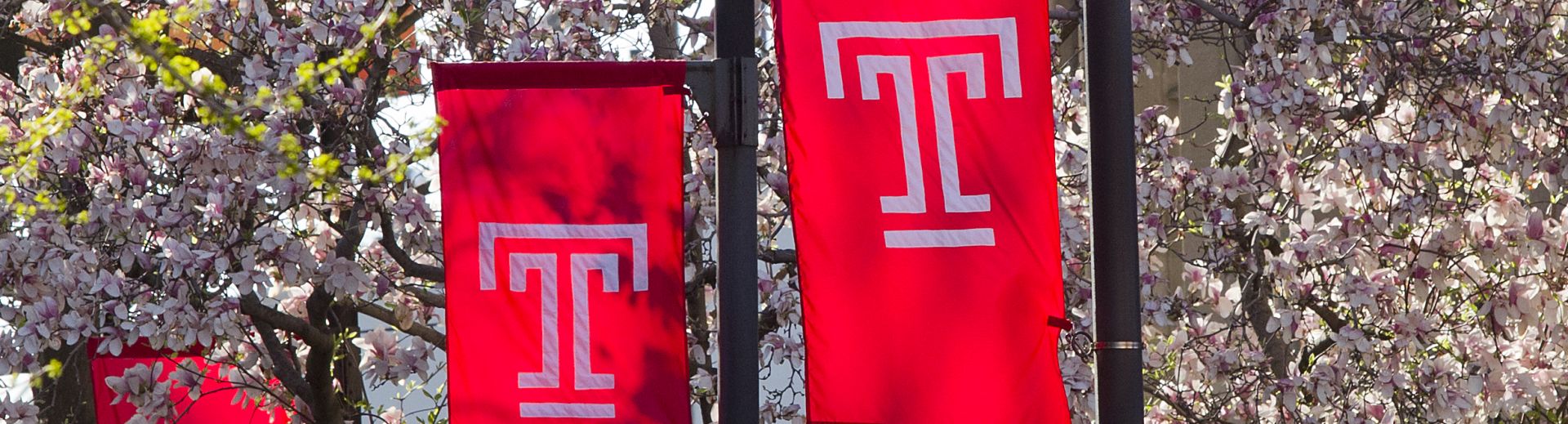 Temple University Flags