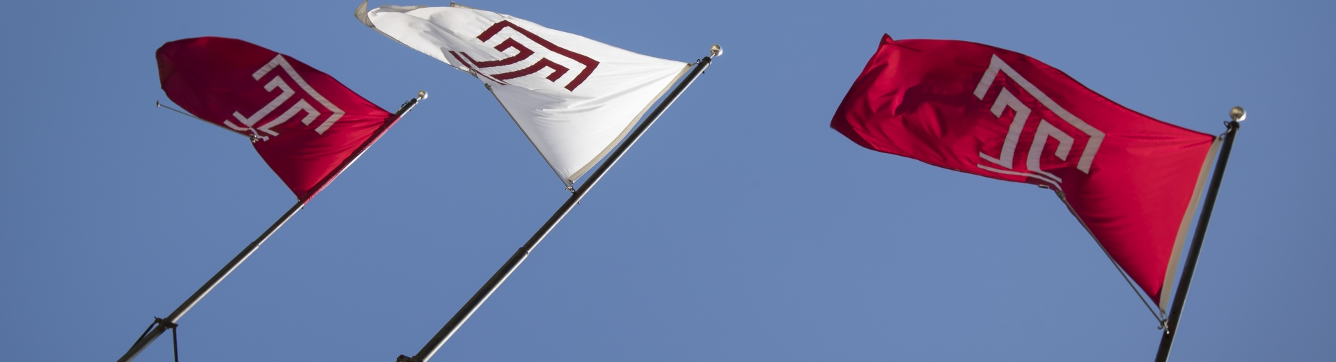 Picture of Temple flags waving in the wind 