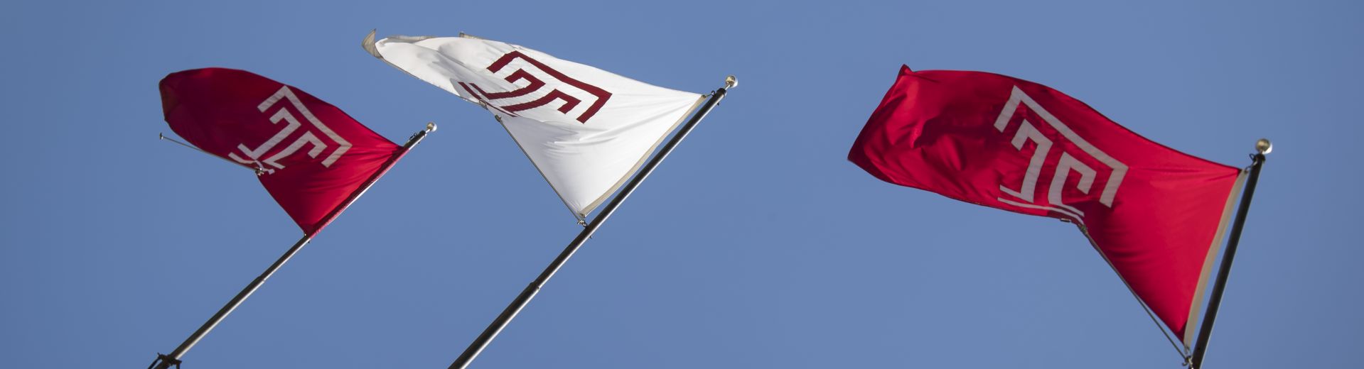 Temple University flags wet against the sky and blowing in the wind